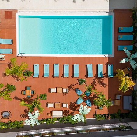 Hotel Samawa Living Paje Esterno foto